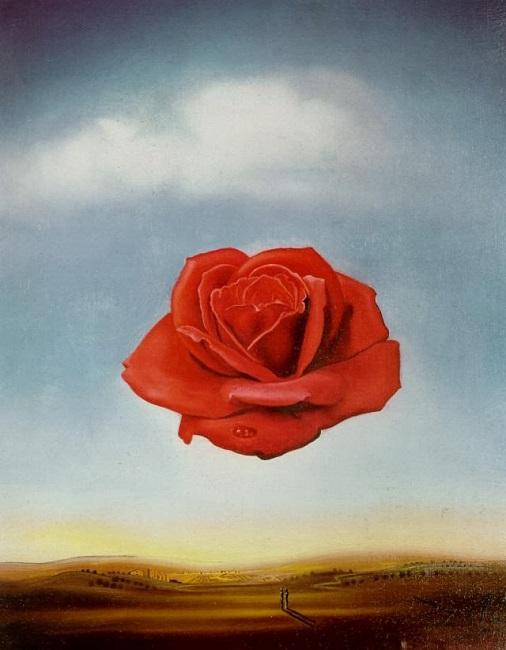 rosa-meditativa-salvador-dali